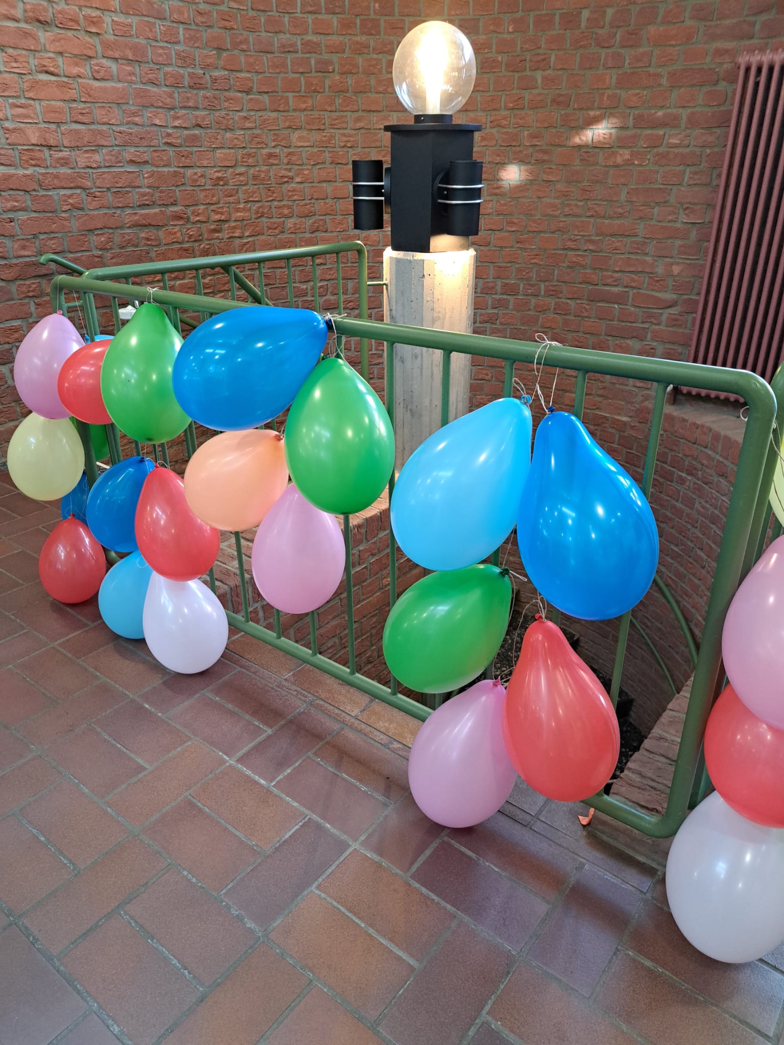 WhatsApp Image 2026 03 08 at 10.14.12